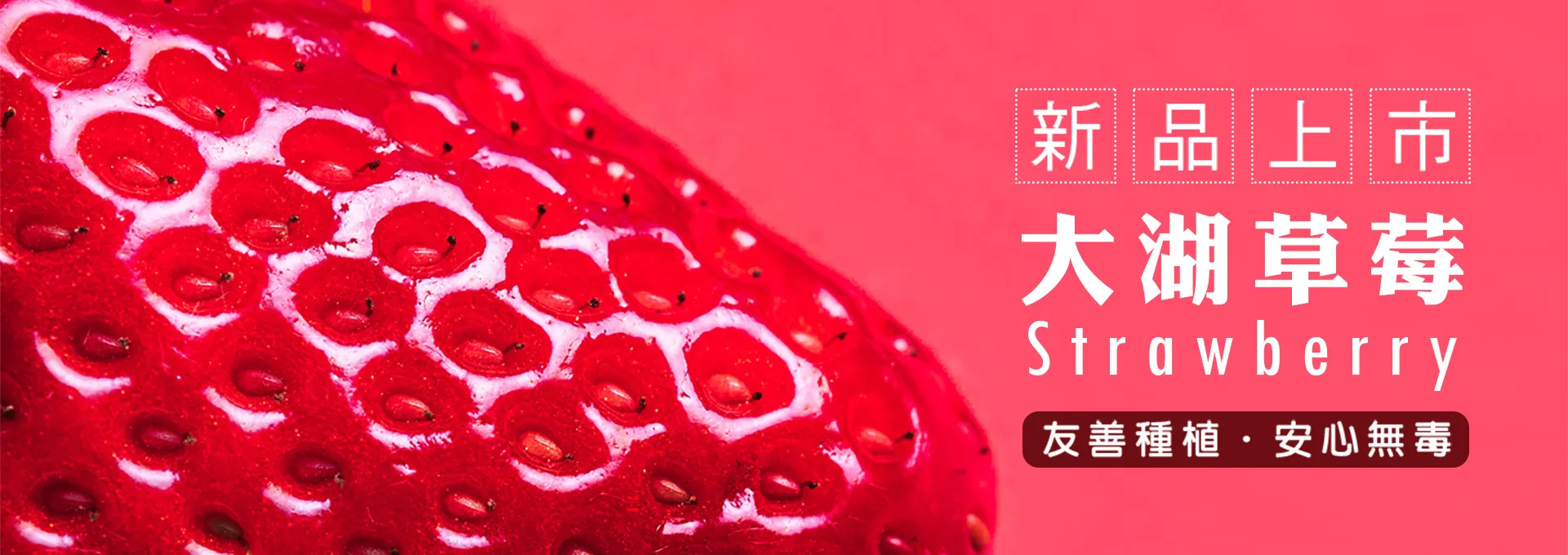 新北市農會真情食品館_輪播圖1