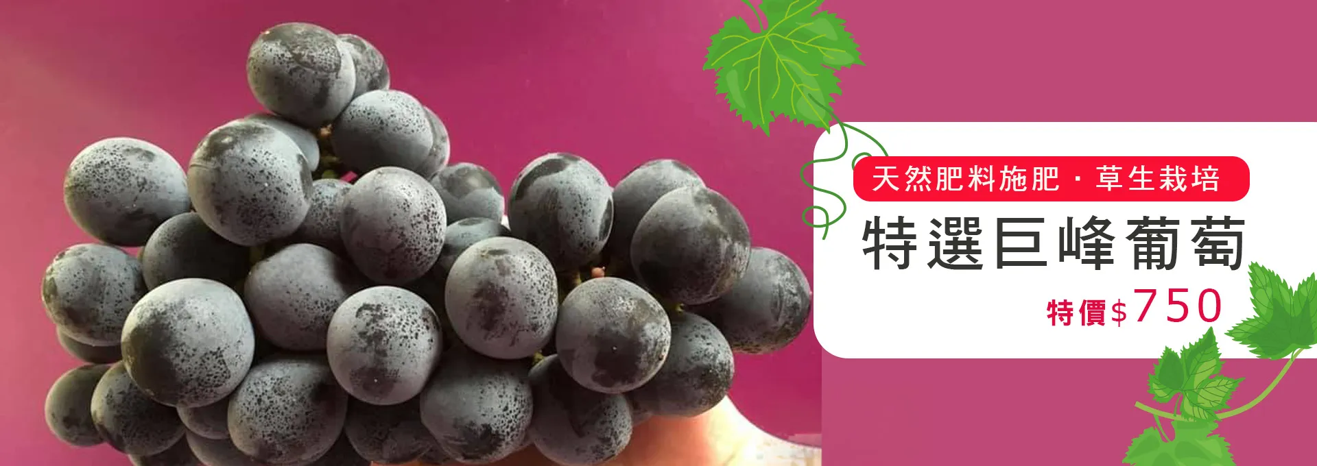 新北市農會真情食品館_輪播圖18