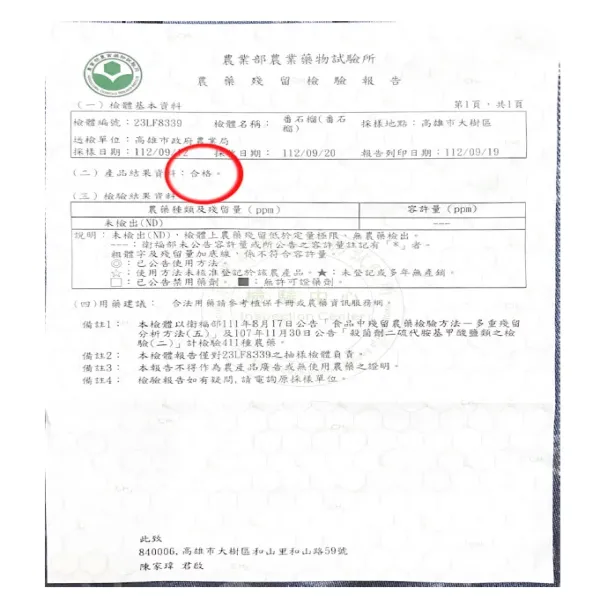 新北市農會真情食品館_【綠創】珍珠芭樂5台斤(6-8顆)★381項農檢合格★高雄首選★