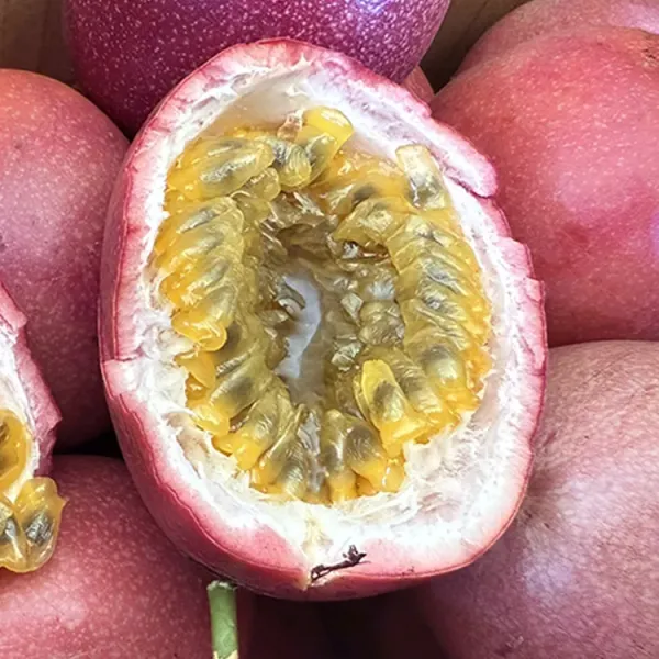 新北市農會真情食品館_埔里甜蜜蜜百香果(大果/5台斤/盒)