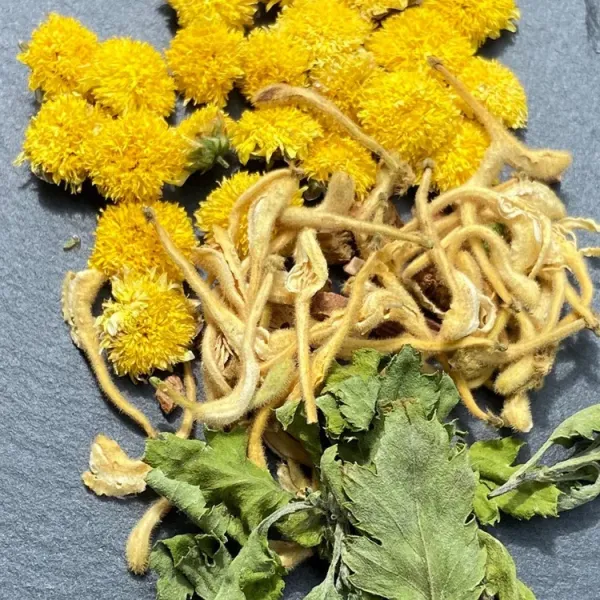 新北市農會真情食品館_天菊農場-金衛茶經濟包(3gx15入)