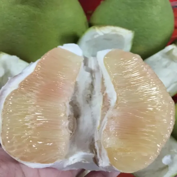 新北市農會真情食品館_(2盒)麻豆農會-特級麻豆文旦10斤