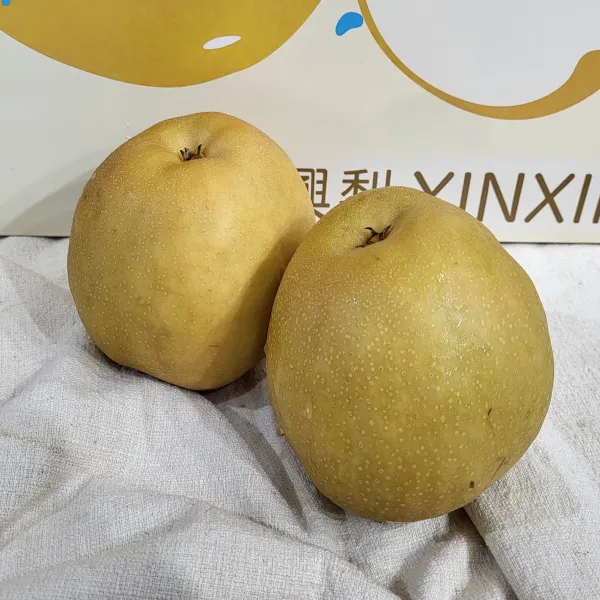 新北市農會真情食品館_卓蘭-褚譽新興梨7台斤(8粒裝)精緻禮盒