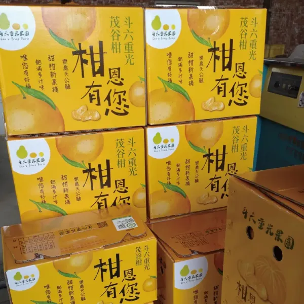 新北市農會真情食品館_(2箱)茂谷柑(25A10斤/28-32粒)★產銷履歷★