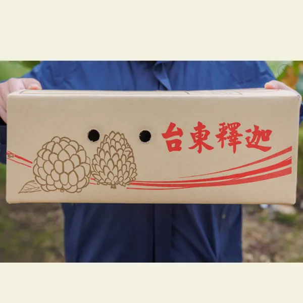 新北市農會真情食品館_東河鳳梨釋迦鮮果禮盒10台斤(8-10粒)