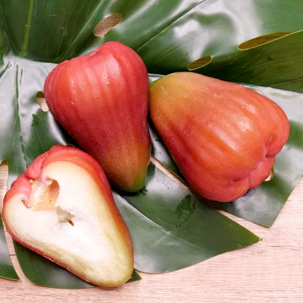 新北市農會真情食品館_六龜享家香水巴掌蓮霧(3台斤/盒)