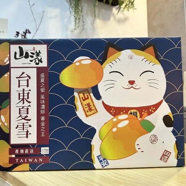 新北市農會真情食品館_台東夏雪芒果禮盒2.5公斤★產銷履歷★