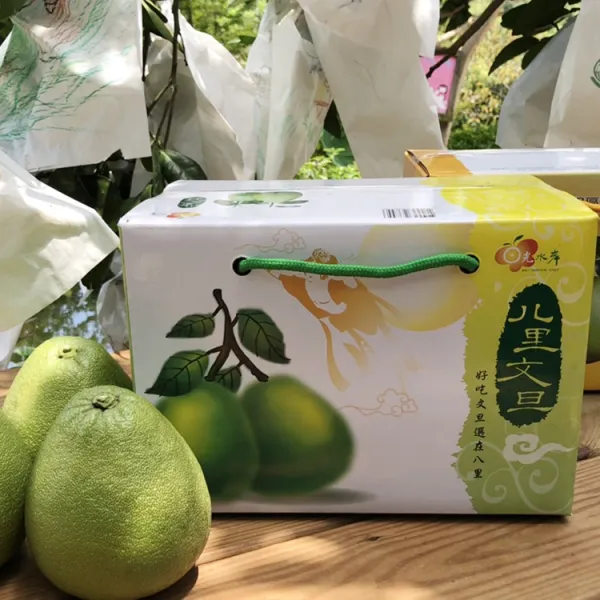 新北市農會真情食品館_八里日光水岸-品牌文旦(5斤)