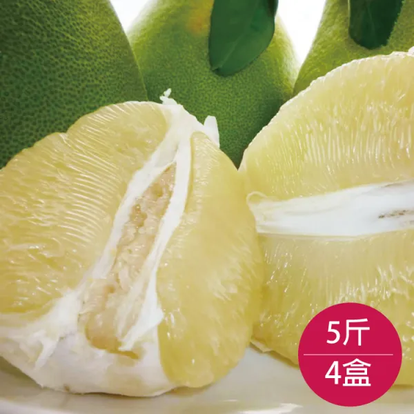 新北市農會真情食品館_八里日光水岸-品牌文旦(5斤X4盒)