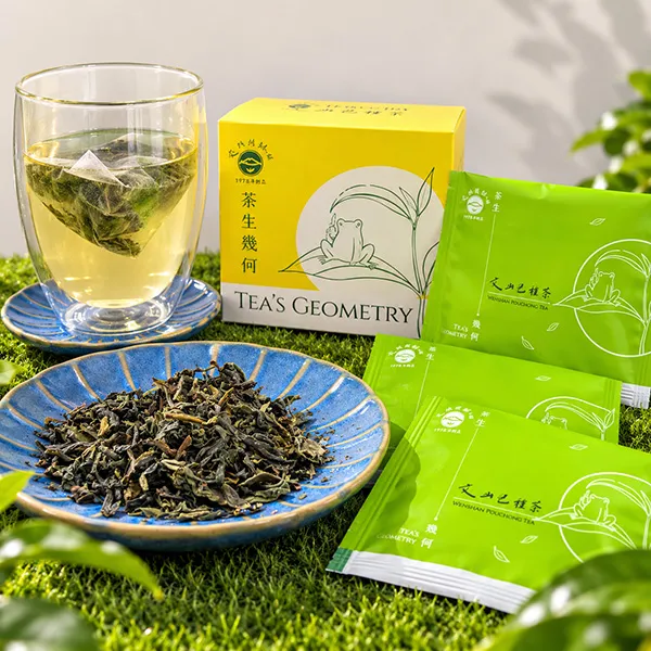 新北市農會真情食品館_茶生幾何立體茶包(文山包種茶)15g