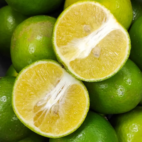 新北市農會真情食品館_褚譽帝王柑5斤★含運組★