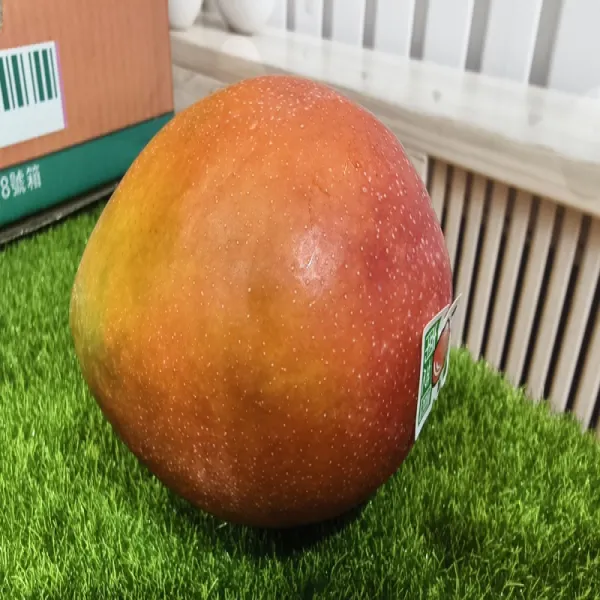新北市農會真情食品館_(生產追溯)南芝園精品級愛文芒果10台斤(11-12粒)