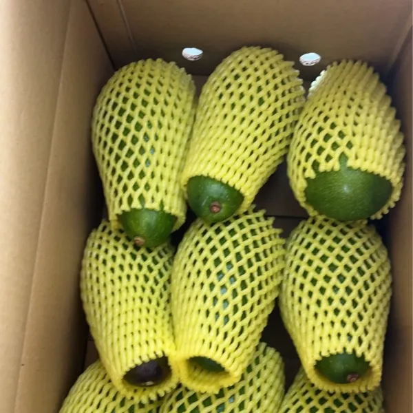 新北市農會真情食品館_(生產追溯)台東青農轉色酪梨10台斤(會轉色)