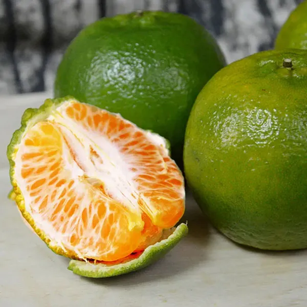 新北市農會真情食品館_伍家青皮椪柑(大果/10台斤)