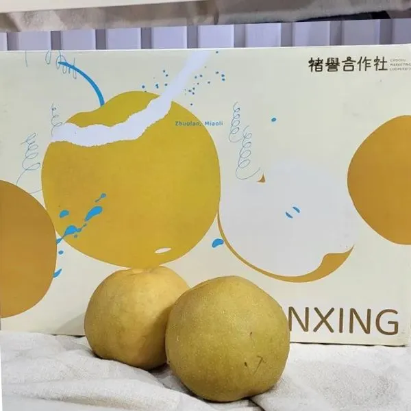 新北市農會真情食品館_卓蘭-褚譽新興梨7台斤(7粒裝)精緻禮盒
