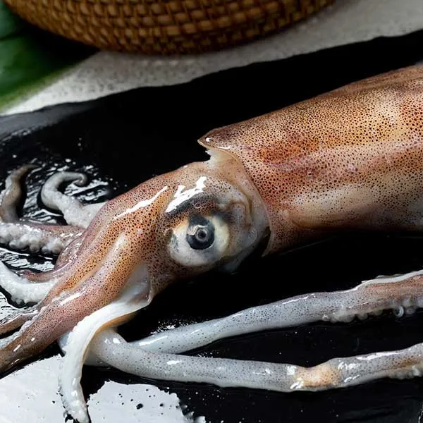 新北市農會真情食品館_活凍軟絲(500g/尾)