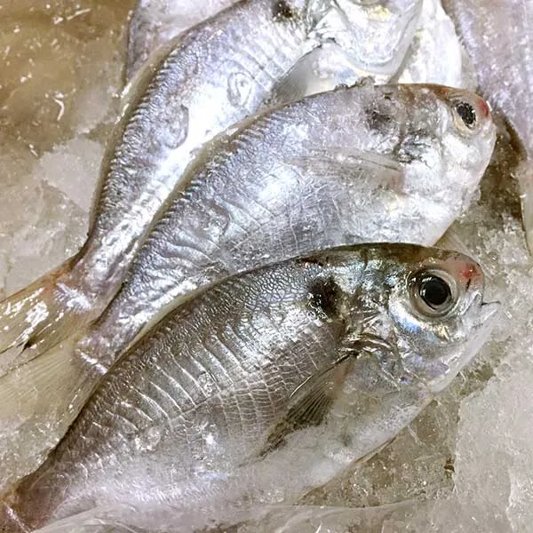 新北市農會真情食品館_澎湖肉質魚(250g)