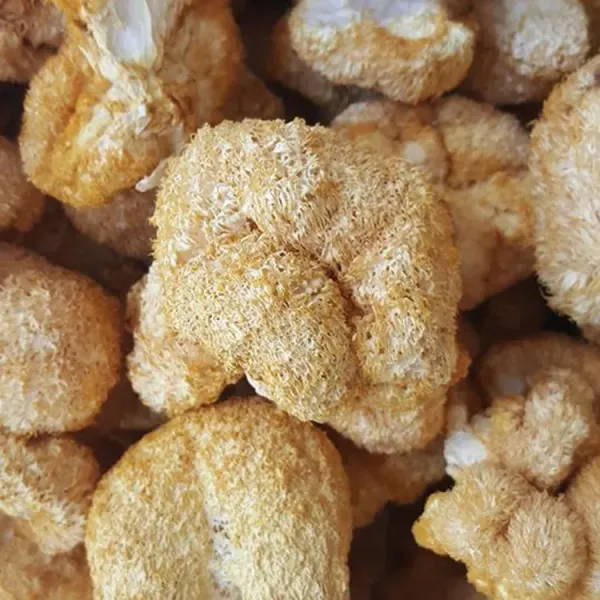 新北市農會真情食品館_有機猴頭菇(乾燥)(70g/包)