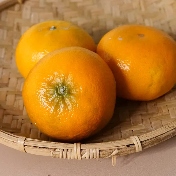 新北市農會真情食品館_(4箱)茂谷柑(27A6斤/13-15粒)★產銷履歷★