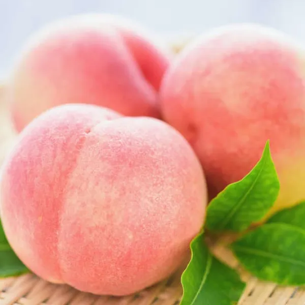 新北市農會真情食品館_梨山水蜜桃(8粒x4盒)