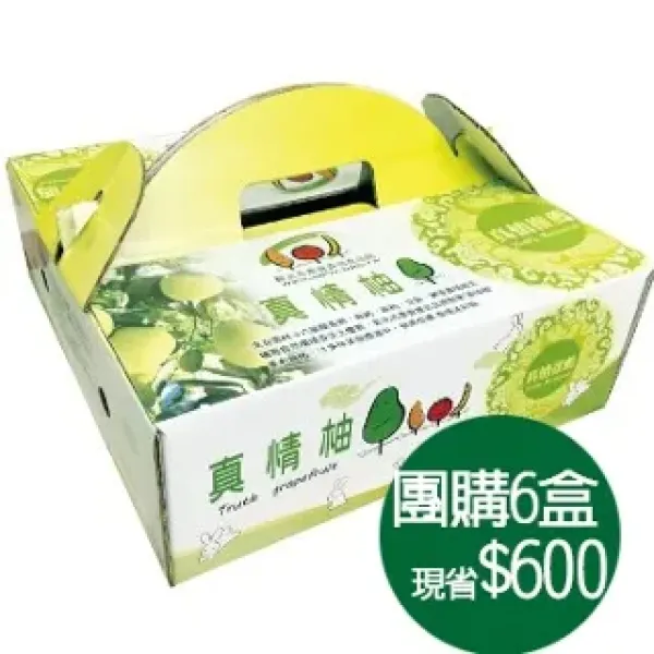 新北市農會真情食品館_真情柚-30年老欉斗六文旦(6台斤/9粒裝/6盒)★
