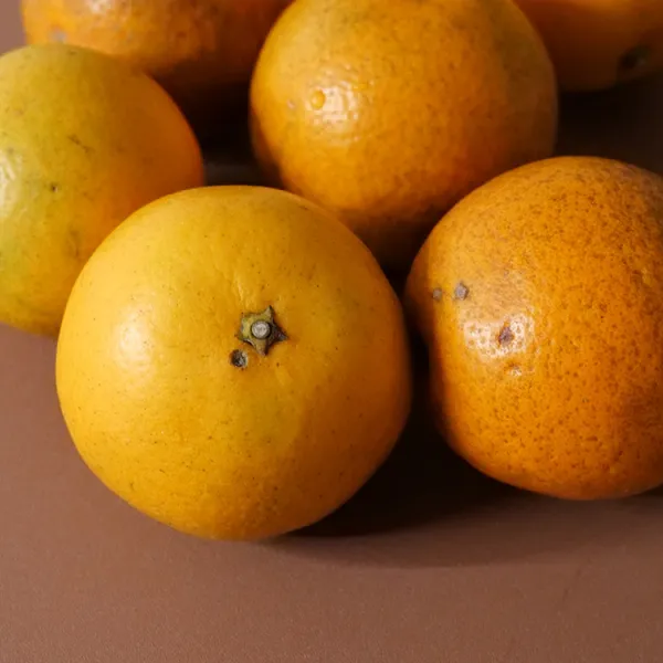 新北市農會真情食品館_老樟樹香丁(晚崙西亞橙)10斤