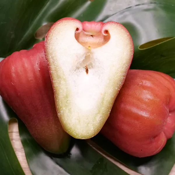 新北市農會真情食品館_六龜享家香水巴掌蓮霧(3台斤/盒)