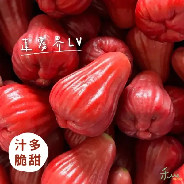 新北市農會真情食品館_六龜黑糖芭比蓮霧4台斤(中果)